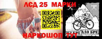 стаф Аргун