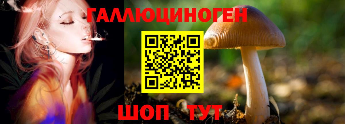 Галлюциногенные грибы Magic Shrooms Апшеронск